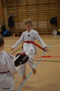 SVC2 Kyorugi och SVC1 Poomsae - Västerås