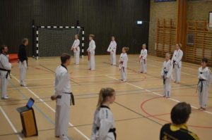 SVC2 Kyorugi och SVC1 Poomsae - Västerås