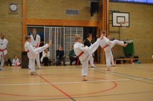 SVC2 Kyorugi och SVC1 Poomsae - Västerås