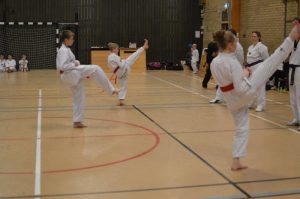 SVC2 Kyorugi och SVC1 Poomsae - Västerås