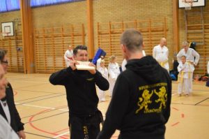 SVC2 Kyorugi och SVC1 Poomsae - Västerås