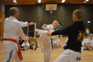 SVC2 Kyorugi och SVC1 Poomsae - Västerås