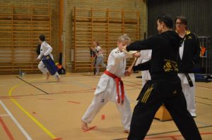 SVC2 Kyorugi och SVC1 Poomsae - Västerås